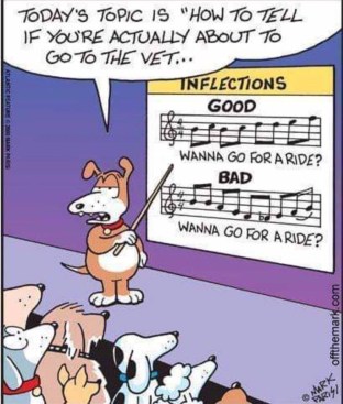 20190320_095845306_iOS