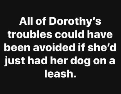 50956323_396353451128075_2145242100273250304_n