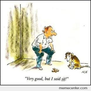 Very-good-but-I-said-sit_o_23286