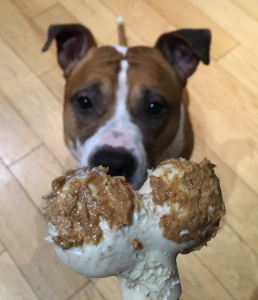 20190107_222715570_ios-e1547687939583