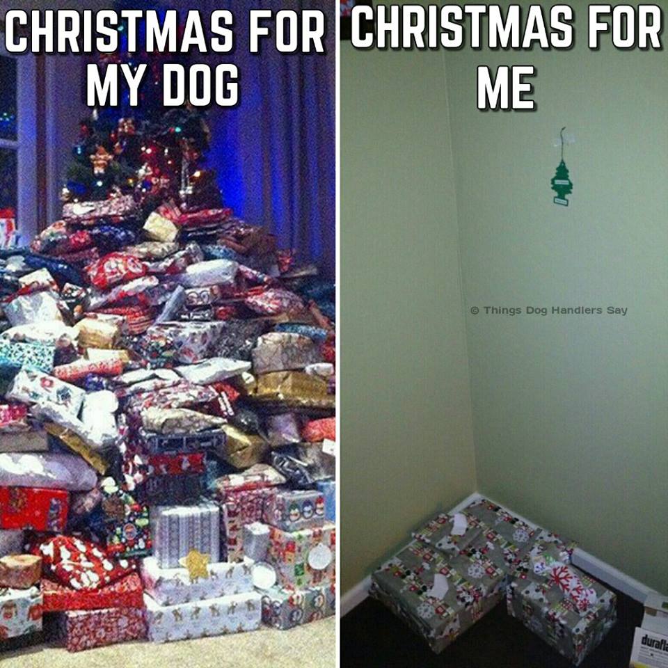 15253607_1796541247263848_8121528908199061695_n