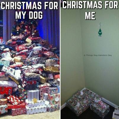 15253607_1796541247263848_8121528908199061695_n