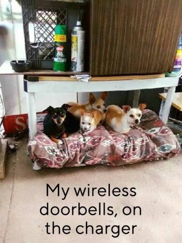 20181217_125330048_iOS