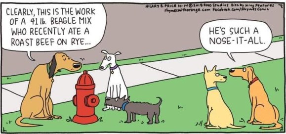 20190304_150628746_iOS