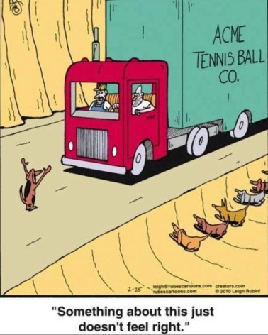 20190305_003000355_iOS