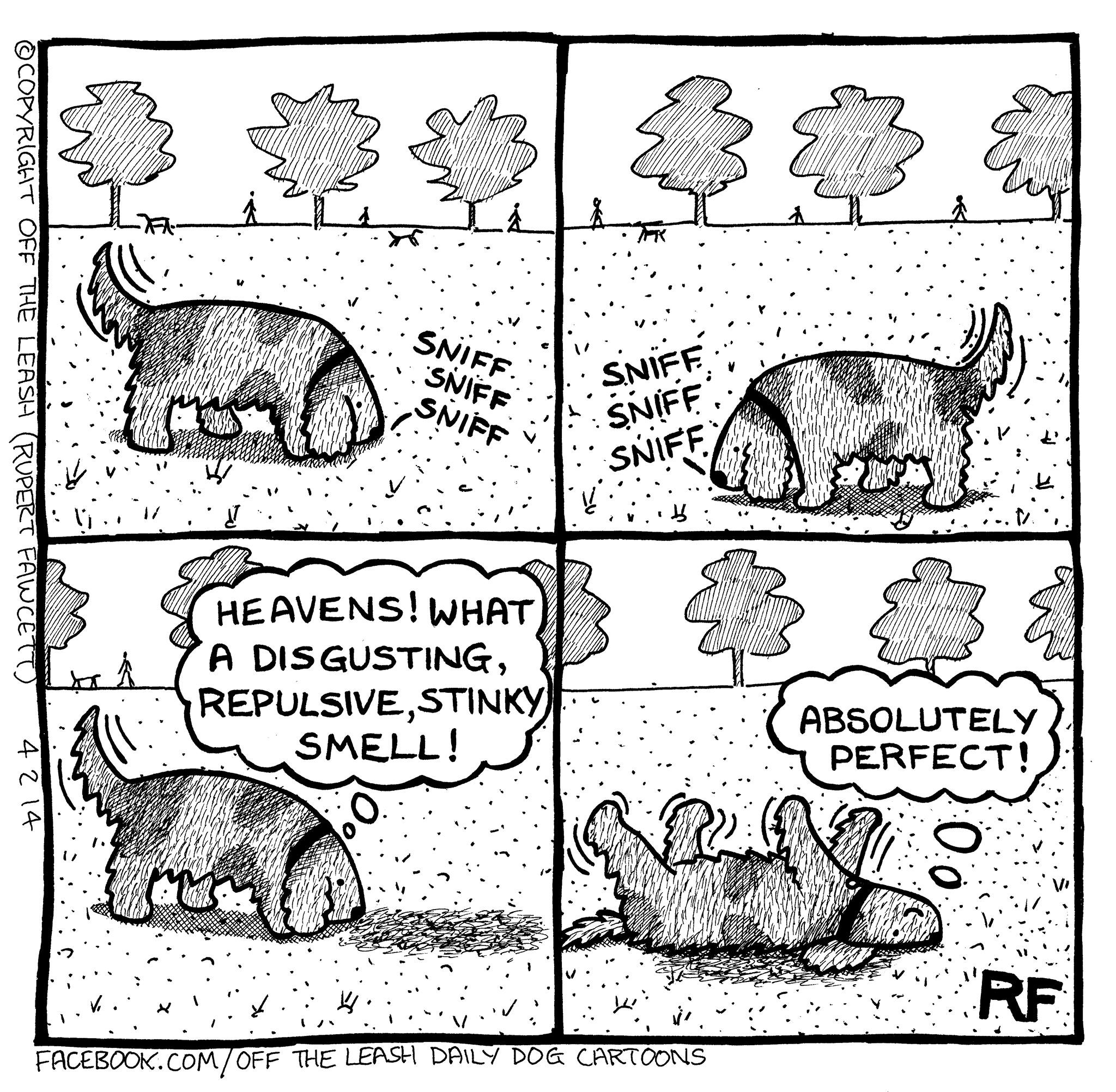 20190428_210516726_iOS