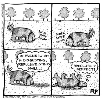 20190428_210516726_iOS