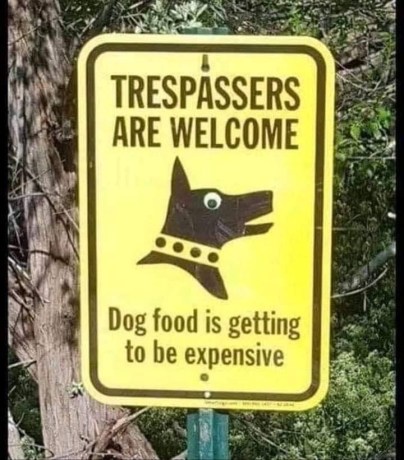 20190621_175024740_iOS