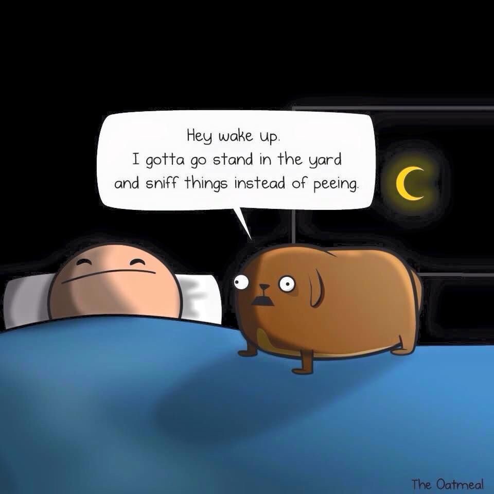 20190906_161204562_iOS