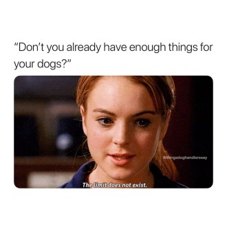 20191019_224459231_iOS