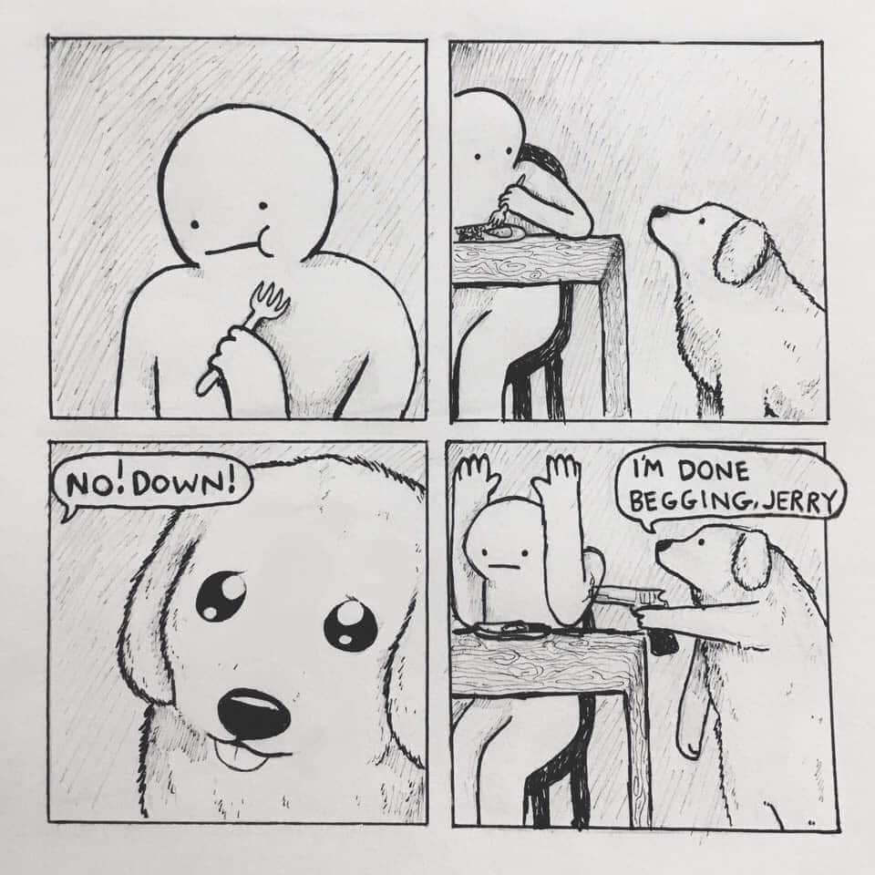 20191111_111908707_iOS