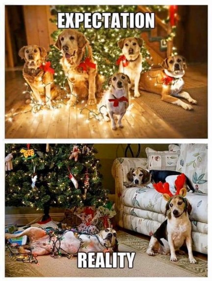 20191123_193146201_iOS