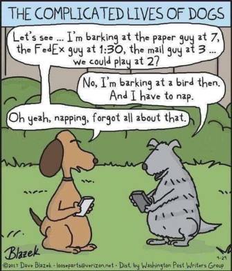 49781582_1232323453573103_5590358500812259328_n