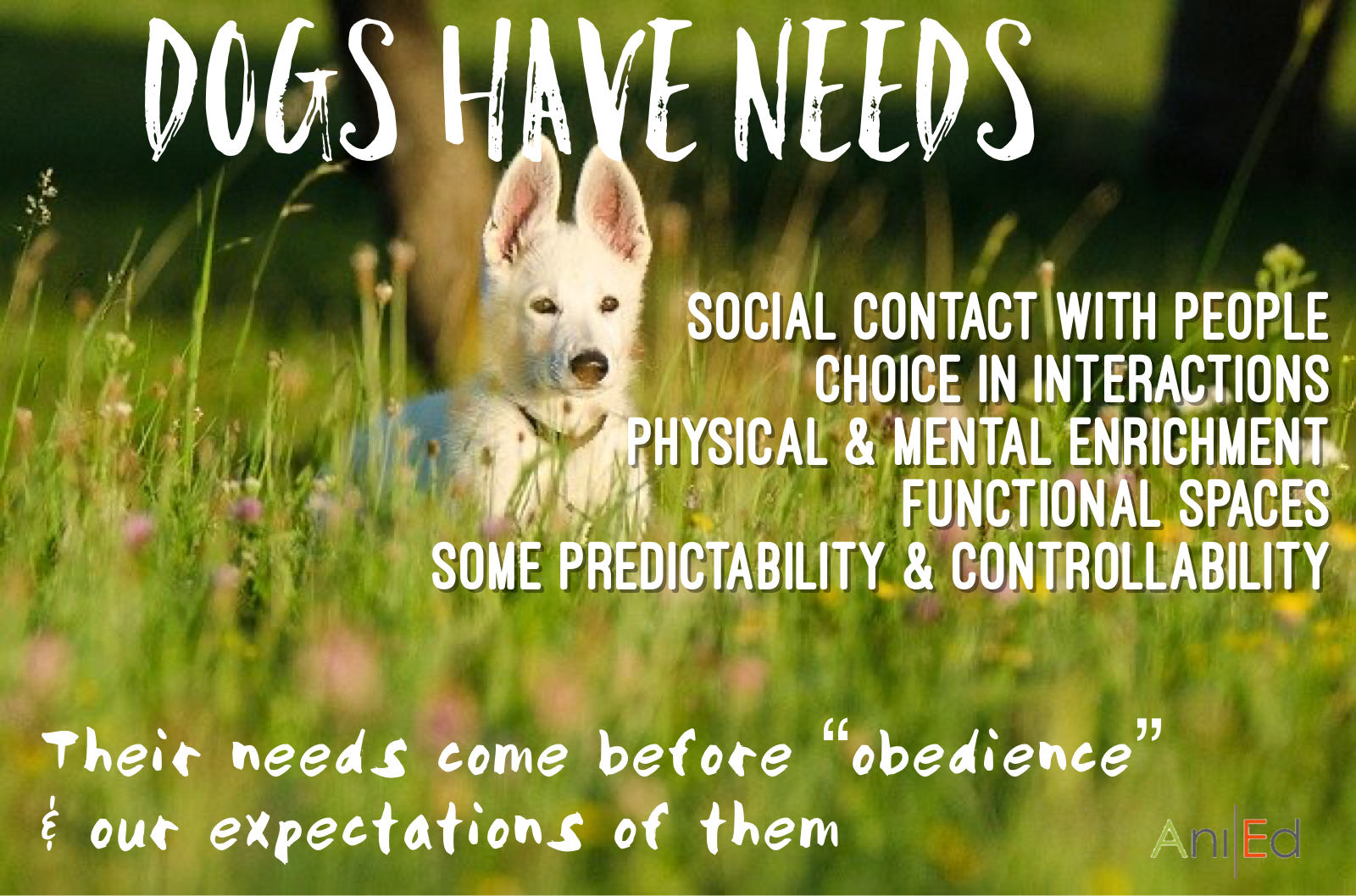 20200121_161830734_iOS