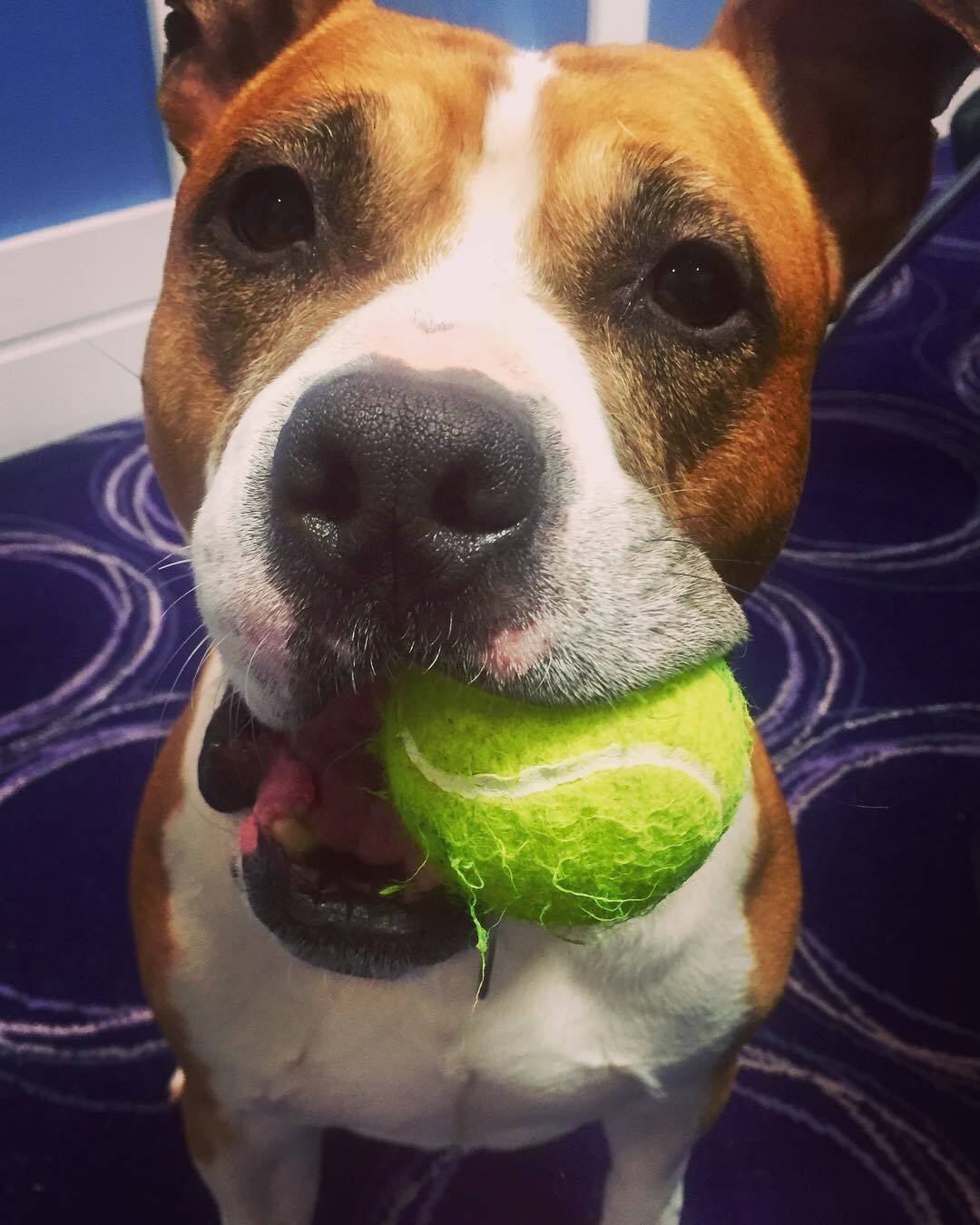 20190303_191034639_iOS