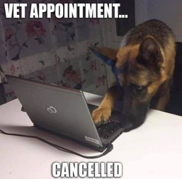 20190308_091620990_iOS