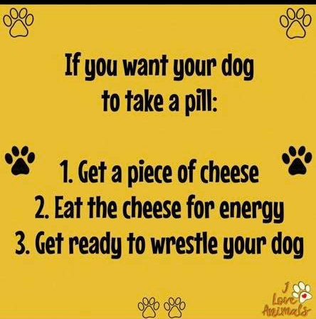 20190614_224359666_iOS