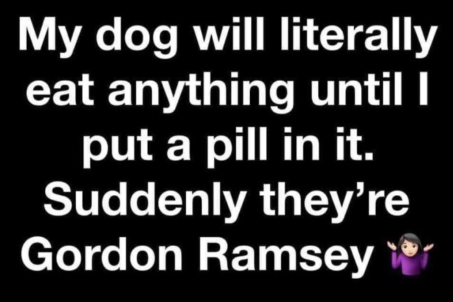 20191025_191832183_iOS