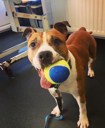 33F3C2DD-AA50-47AC-98CE-4FCA954333EE