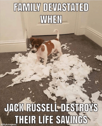 8cjisqIb8BJJL2E9pRLO2JIZHbqOpNI7iZhf6FFsGNZk,5E5BF