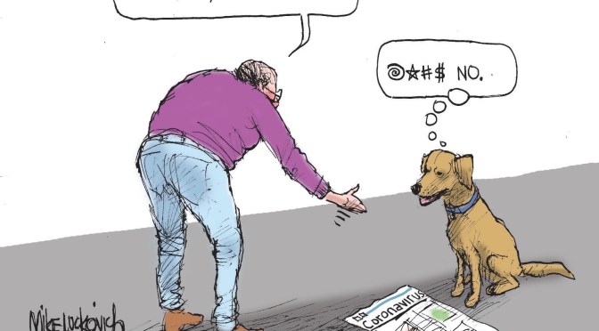 Corona Virus Policy & Pets