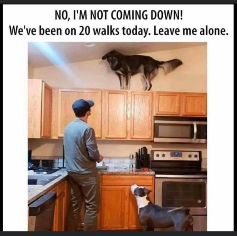 20200325_134715000_iOS