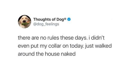 93276912_2691386694424070_147758570178347008_o