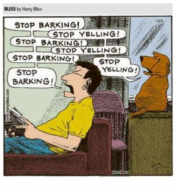 20181204_001635502_iOS