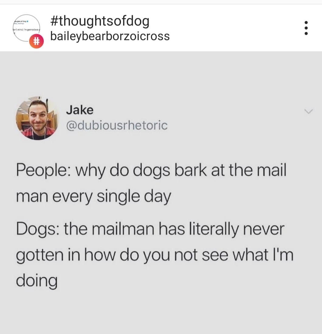 20190326_212801170_iOS