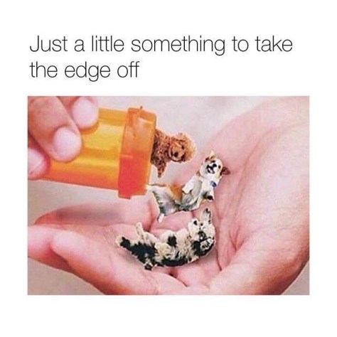 20190418_133114946_iOS