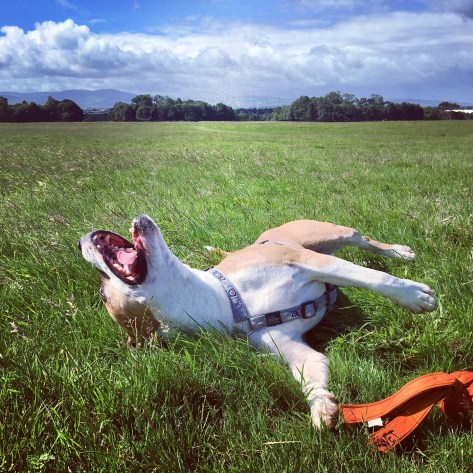 20200705_134317443_iOS