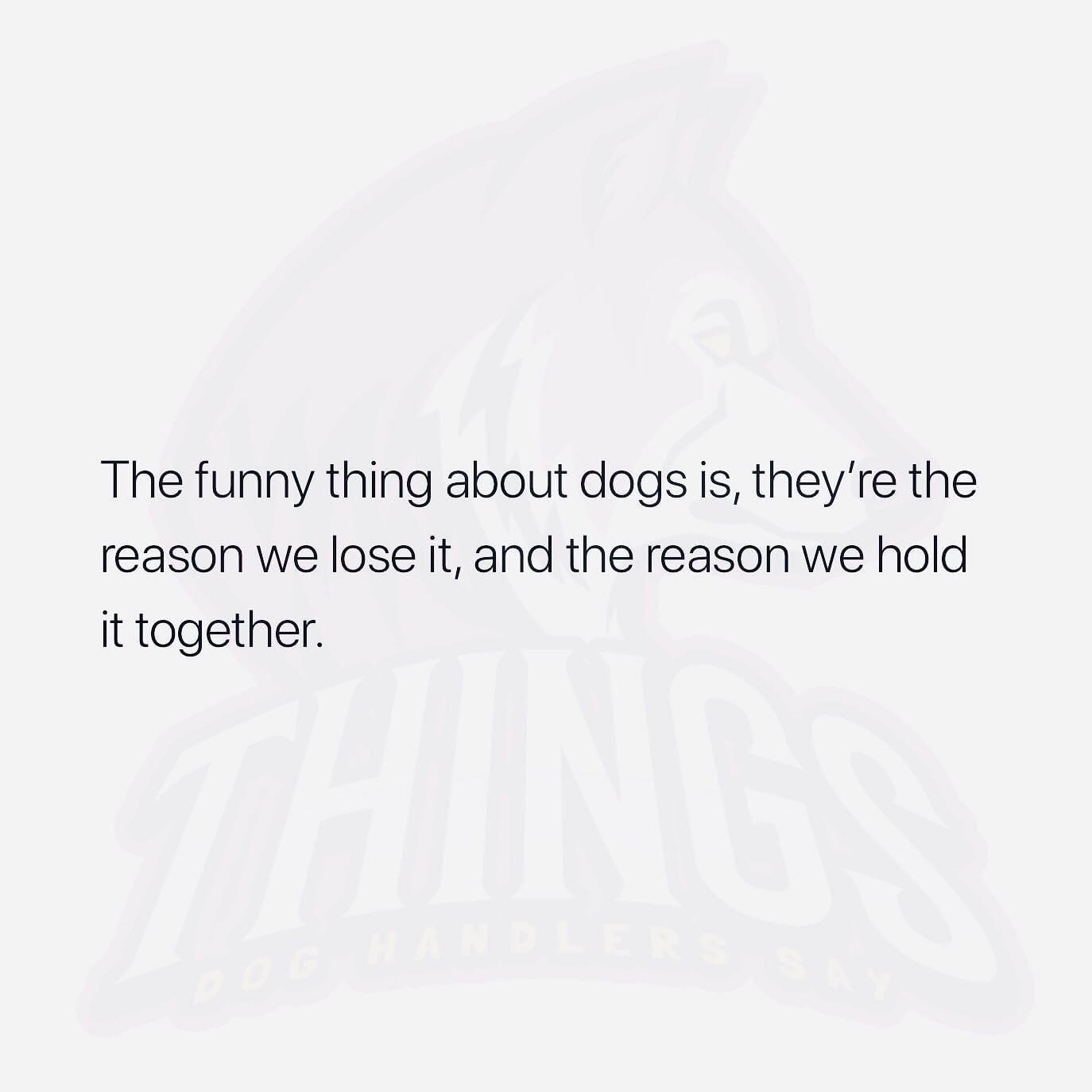 20200802_082131981_iOS