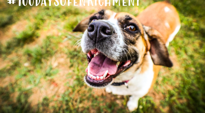 #100daysofenrichment is back!