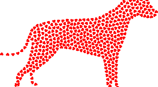 Treat the one who really loves you…