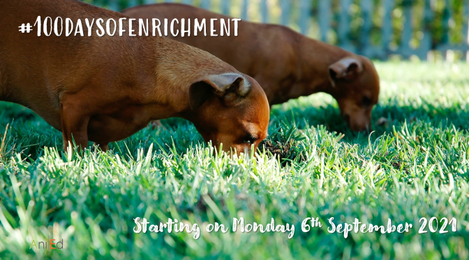 #100daysofenrichment is back…again!