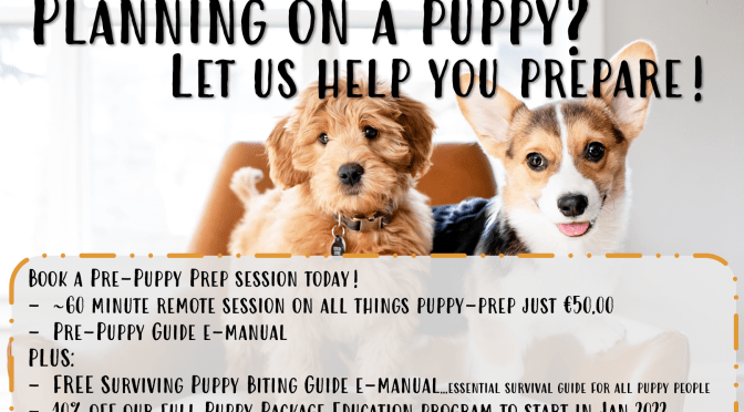 Planning on a puppy?