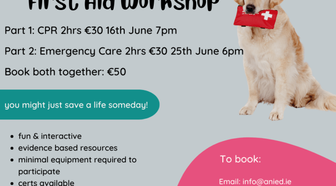 Online Canine First Aid Workshop