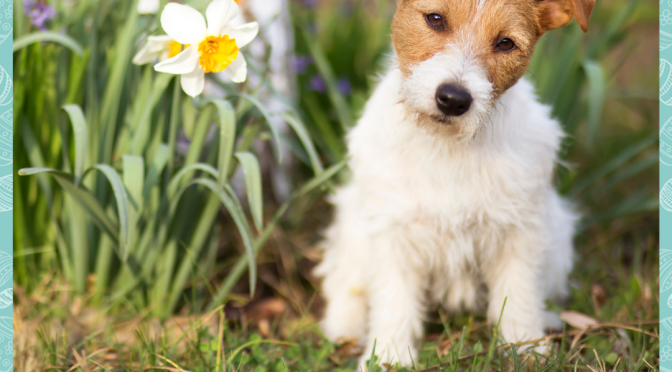 Take care for Easter!