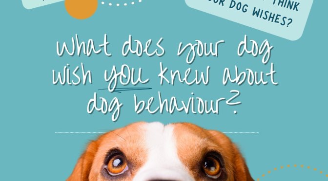 What does your dog wish YOU knew about dog behaviour?